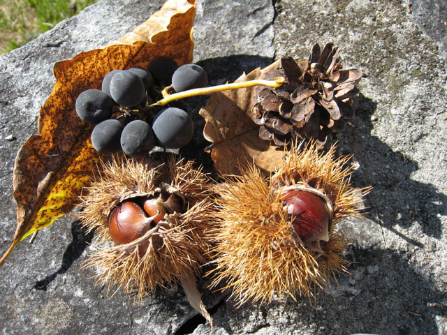 58_Tessiner_Spezialitaeten