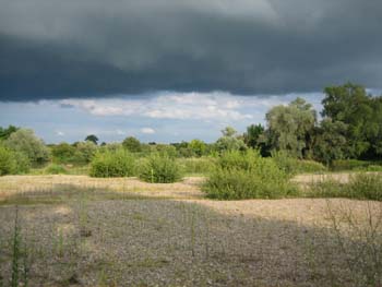 untensonne_obenschwarz