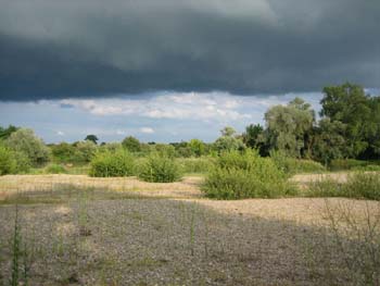 untensonne_obenschwarz_opt